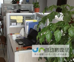 芜湖网站设计公司：助力您的企业在线腾飞